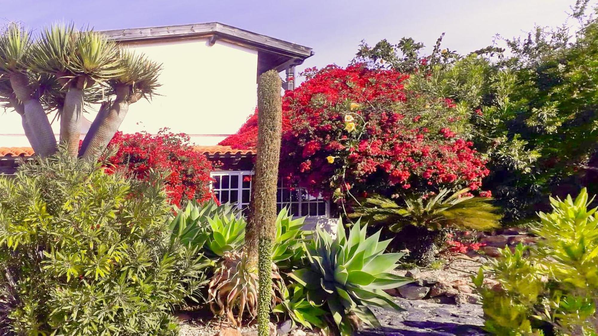 -Casa Azul-Arico Viejo La Sabinita - Baden, Wandern, Klettern, Individualurlaub Jenseits Des Massentourismus, Villa ภายนอก รูปภาพ