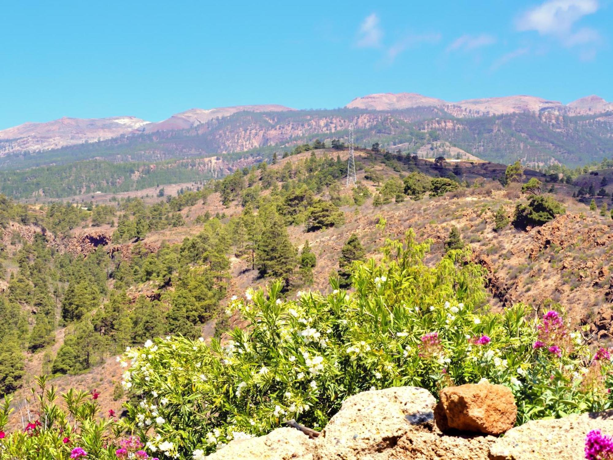 -Casa Azul-Arico Viejo La Sabinita - Baden, Wandern, Klettern, Individualurlaub Jenseits Des Massentourismus, Villa ภายนอก รูปภาพ